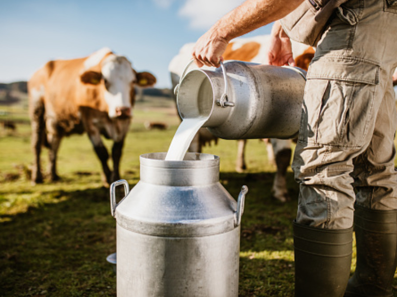 Dairying & Fisheries